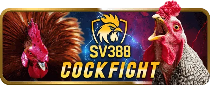 Hỗ trợ cá cược thể thao 79club